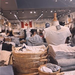 Meet your Posher, Zoey